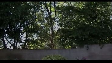 Dwie czarne nastolatki ruchane przez tego samego kutasa