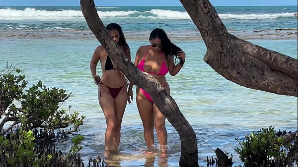 Dwie laski na plaży Enseada dos Corais – Cabo – PE